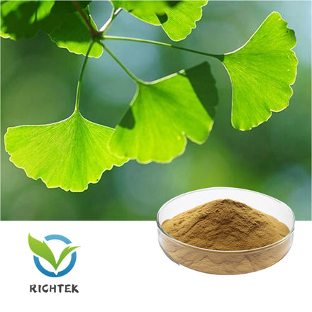Richtek Hot Sale Ginkgo Biloba Extract With Folium and ISO Halal Certificated Factory Price for Food Additives
