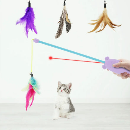 Evernew Eco-Friendly Luxury Interactive Purple Laser Cat Toy with Fishing Rod and Mouse Handle