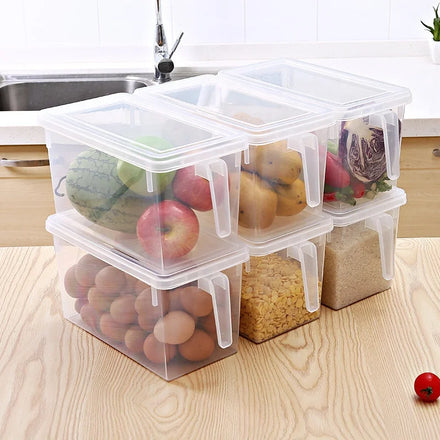 Modern Clear Plastic Injection Molded Rectangle Food Storage Crisper Fridge Organizer Containers Freshness Preservation Handle