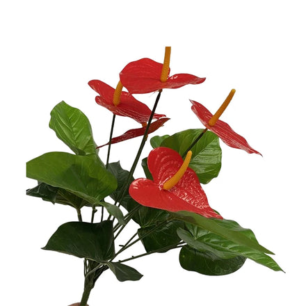 18 Heads Red Palms 12 Branches Elephant Ears Plant Artificial Plants for Indoor