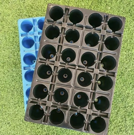 24 Holes PET Plastic Rectangle Strawberry Seed Starter Seedling Tray for Plants Flowers Vegetables