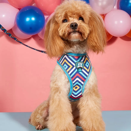 MIDEPET Breathable Pet Dog Harness and Leash Set Custom Pattern LOGO Accept No Pull Step in Reflect Light with Soft Mesh RIBBONS