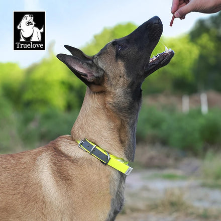 Truelove New Arrival PVC Waterproof Pull-resistent Durable Reflective Dog Collar Wholesale Manufacture Pet Collar Accessories