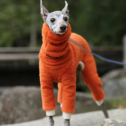 S~5XL New Arrival Pet Clothing Dog Clothes Warm and Fashionable Dog Cotton Coat for Medium to Large Dogs