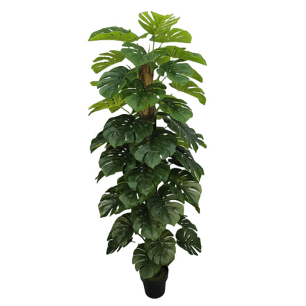 Guangdong Manufacturer Real Touch Potted Fake Plant 180CM 6ft Artificial Monstera Tree for Home Garden Living Room Decoration