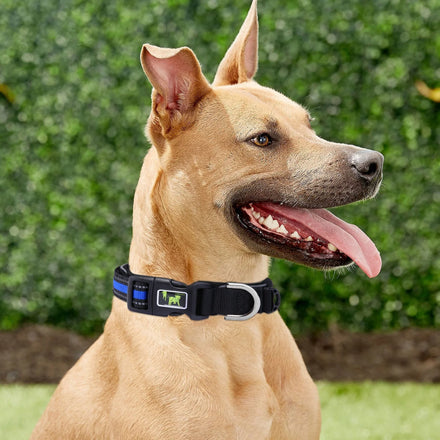 Fashion Thick Comfortable Pet Collar Reflective at Night Anti-Pull Abrasion Resistant Dog Collar Leash Set