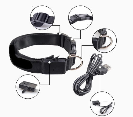 Waterproof Trainer Training Bark Luxury Light up Dog Collar in Bulk Training Led Dog Pet Collar