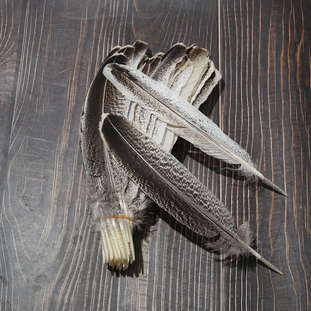 Turkey Wing Feathers Dyed 20-30cm Selected Prime Quality SHC Brand China Hubei Origin