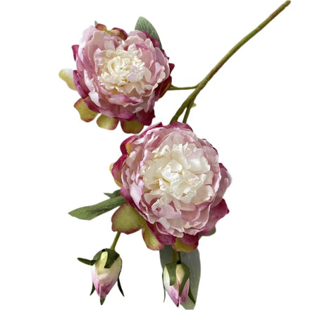 New Design 4 Heads Dry Burned Peonies Artificial Silk Peony Flowers for Home Decorations