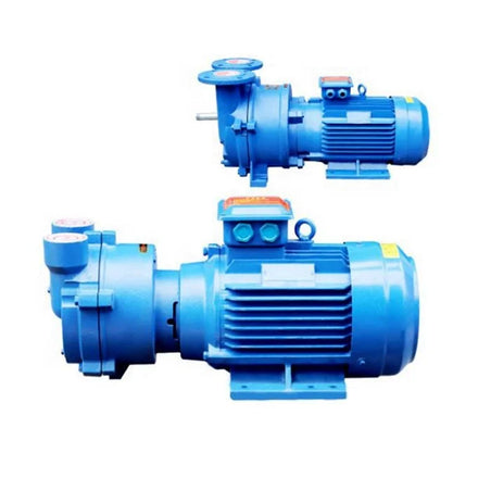 2BV Series 2026 Best Selling Water Ring Vacuum Pump