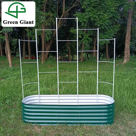 Huizhou Green Giant H3(6N1-17) Plants Climb Pergolas Garden Raised Bed