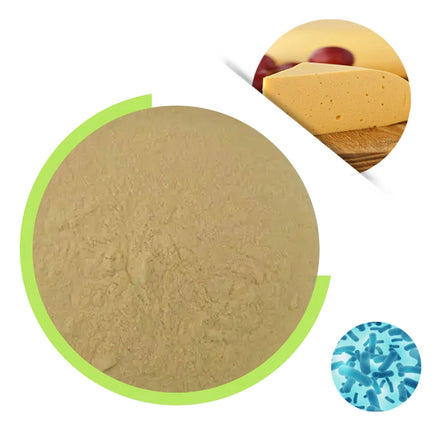Supply Food Grade Microbial Rennet Powder for Soft CheeseHigh Actitity 15000IMCU/g Chymosin Enzyme Powder