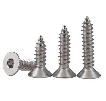China Factory Wholesale Customized 304/201 Stainless Steel Self Tapping Screws Flat Hex Socket Head Screw for Plastic Screw