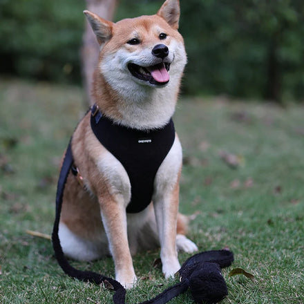 Wholesale Fashionable Soft Padded Sherpa Dog Harness Set New Design Fleece Fabric with Button Closure for Small Dogs and Leash