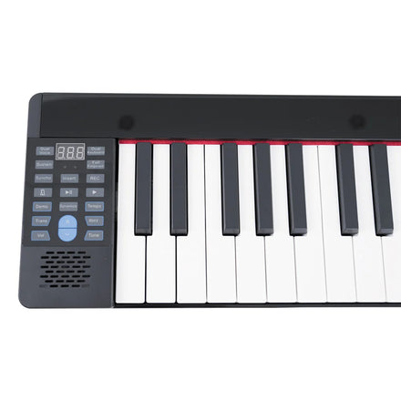 Wholesale Musical Instrument Weighted 61 Keyboard Upright Digital Piano