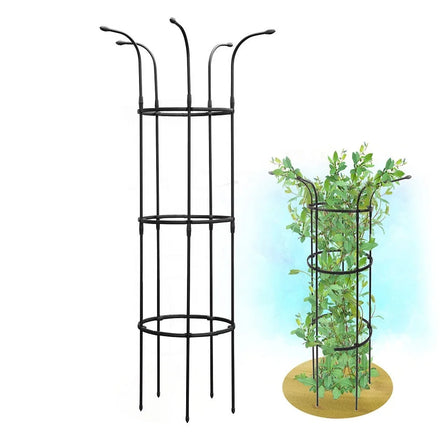 Wholesale Garden Decoration Outdoor Garden Stake Rose Climbing Garden Trellis