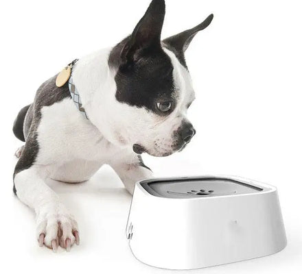 Plastic Pet Anti Spill Dog Bowls Floating Cat Bowl No Spill Pet Drinking Water Feeder Hot Selling 1.5l Custom Logo Sustainable