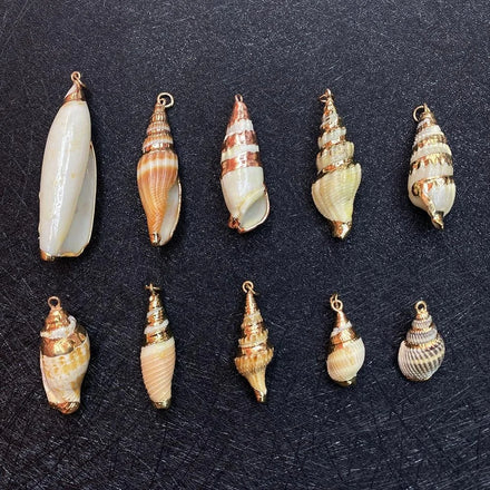 2022 Shell Pendant Natural Conch Pendant Sea Shell Conch for Home Wedding Party Decorations
