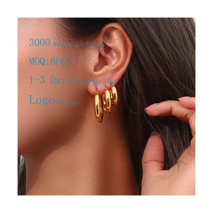 Hot Selling Classic Hiphop Jewelry Fashion Hoop Earring for Lady High Quality Waterproof 18K Gold Plated Stainless Steel Earring