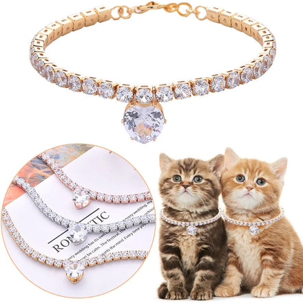 Wholesale Fashion Bling Chain 2023 Owner Match Pet Friendship Bracelet Dog Collar