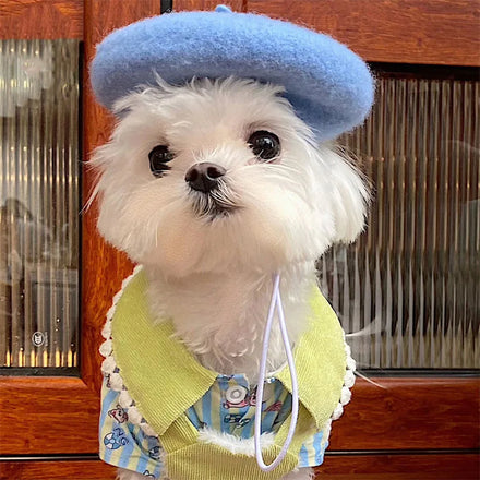 Wholesale Fashion Multi Color Matching Dog and Owner Parent Beret with String