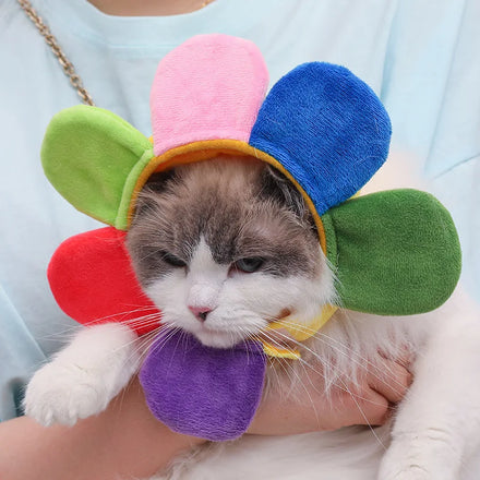 Wholesale Warm Winter Heated Party Flower Starfish Pet Dog Funny Winter Hats