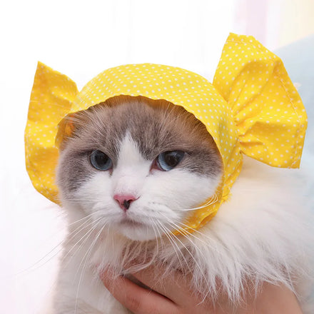 Wholesale Cute Funny Pet Accessories Polka Dot Candy Dog Cat Bucket Hat Caps