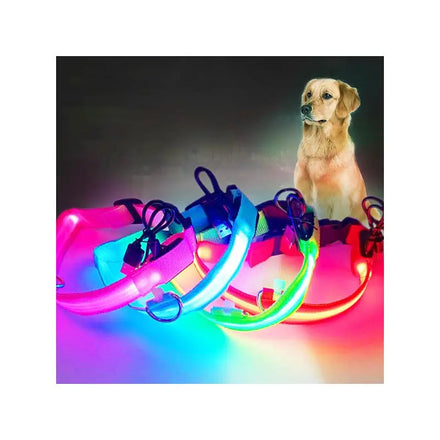 Maychan LED Light Rechargeable Multicolor Dog Collar Glow-in-the-dark Pet Collar
