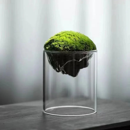 Home Decoration Terrarium Mini Glass Vase Tall Crystal Tabletop Wedding Vase Hydroponic Planter Flower Pot Elegant Hydroponic