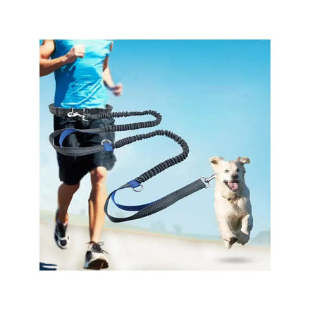 Maychan Hands Free Reflective Bungee Durable Running Heavy Duty Pet Dog Leash with Waist Belt