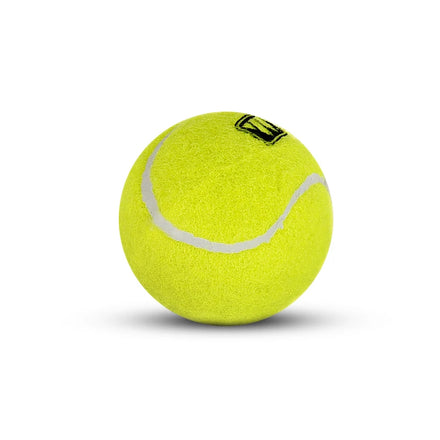 Factory Direct Supply China Good Quality Tennis Balls with String