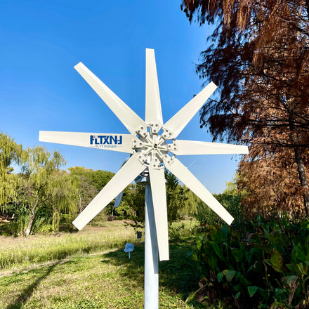 Best Quality 1000W Wind Mill 12v 24V Horizontal Shaft Wind Turbine 8 Blades Home Wind Turbine Generator