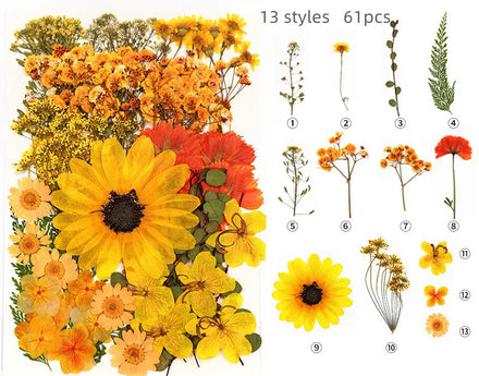 E076 45-110 PCS Mixed Real Dried Pressed Flowers Leaves DIY Floral Decors for UV Gel Nail Art Tips Face Decor