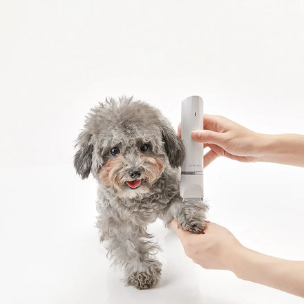 Dog Paw Trimmer Low Noise Electric Mini Shaver for Grooming Small Dogs and Cats Hair Around Face Ears Paw Pads