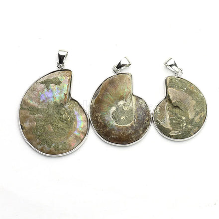Natural Gemstone Ammonite Fossil Pendant Genuine Snail Fossil Crystal Stone Charms Pendants for Jewelry 3CM