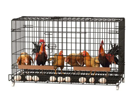 Chicken Cage Large Fecal Pan Removal Folding Cage Wire Mesh Chicken Coops Cages Egg Layer