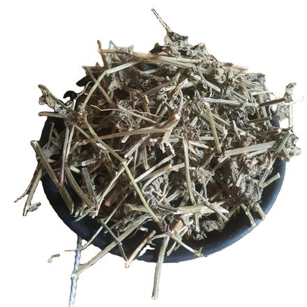 Bei Feng Cao Natural Wild Dried Leucas Mollissima Plants Herba Leucatis Molloissimae for Sale