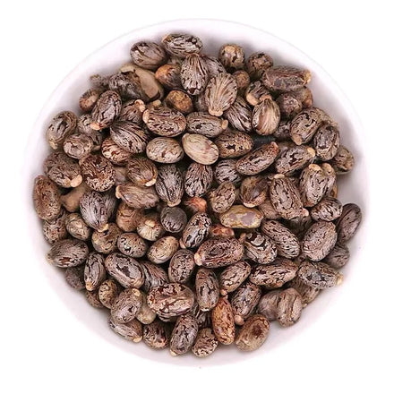 1KG Raw Wild Fully Mature New Dried Pure Castor Seeds for Herb