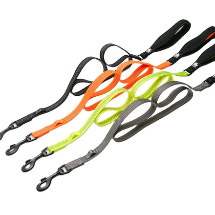 Truelove Ready to Ship Fashion Hands Free Light Pet Collar Leash Set Luxury Multifunctional Reflective Adjustable Dog Lead Rope