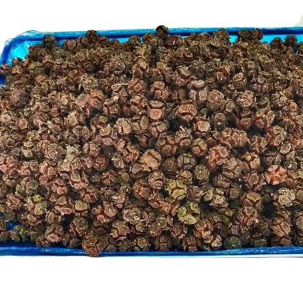 Natural Raw Chinese Oriental Arborvitae Cypress Fruit Dried Platycladus Orientalis Cones for Herb