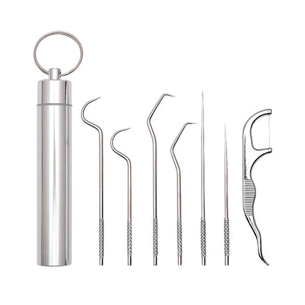Stainless Steel Toothpick Set Tooth Flossing Reusable Toothpicks Portable Toothpick Floss Teeth Cleaner Oral Cleaning