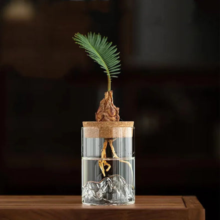 Mountain Design Glass Terrarium Hydroponic Plant Bottle Planter with Wooden Cork Lid for Water Plant Planting