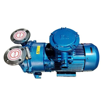 2BV Series Water Ring Vacuum Pump for Autoclave