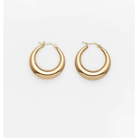Fenny 18K PVD Plated Wholesale Waterproof&Non Tarnish Smooth Chunky Minimalist Stainless Steel Hoop Earrings for Women