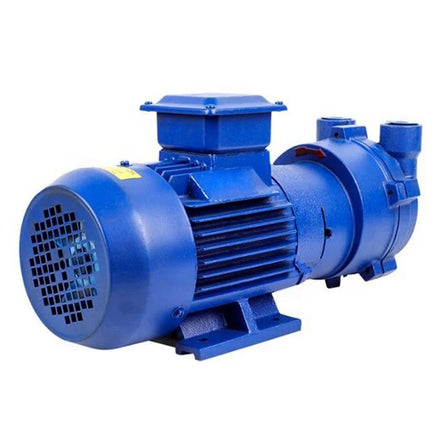 2BV Series Water Ring Vacuum Pump for Extraction