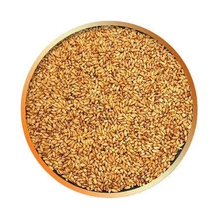 1kg Bai Zi Ren Wholesale Raw Semen Platycladi Peeled Platycladus Orientalis Seed Kernel for Herb