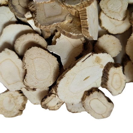 Baizhi Chinese Angelica Dahurica Rhizome White Angelica Dahurica Root Slices for Herb