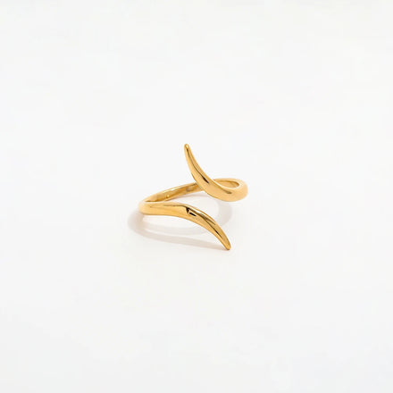 Fenny 18K Gold Plated Wholesale Personality Creative Irregular Geometric Stainless Steel Finger Ring Trendy for Women