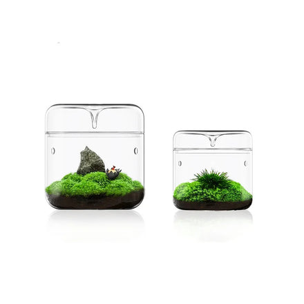 Cylinder Enclosed Capsule Glass Plant Terrarium with Lid Transparent Wedding Glass Vase Round Tabletop White / Kraft Box CN;HEB