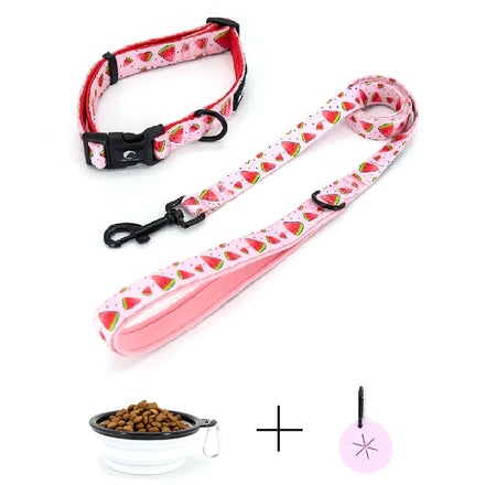 Personalized Nylon Dog Leash and Harness Set Custom Adjustable with Collar Bandana Bow Tie and Pet Harness